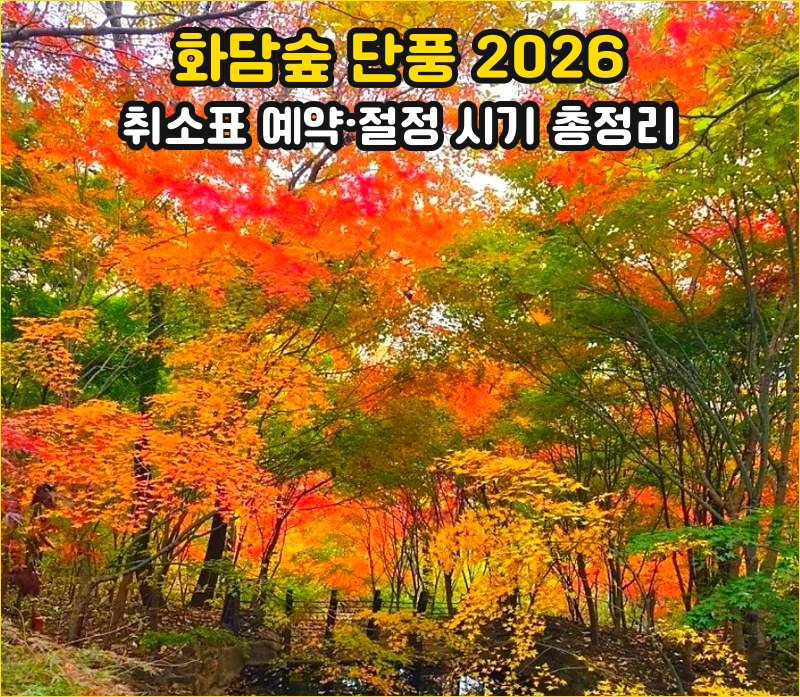 화담숲 단풍 2026 취소표 예약 절정 시기 총정리 썸네일