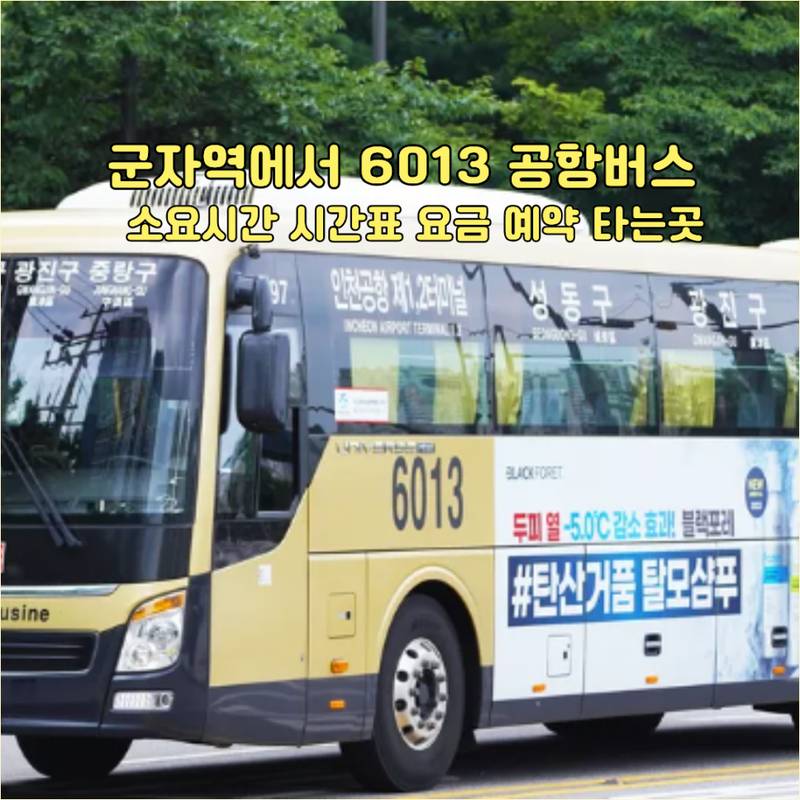 6013번 공항버스 군자역 7번 출구 파리바게뜨 앞 정류장 타는 곳 안내