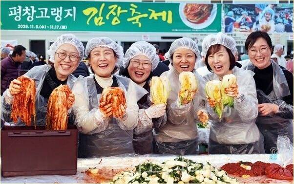 평창고랭지 김장축제 김장체험 현장 모습